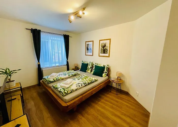 Rodinny V Karlovicich Apartment *